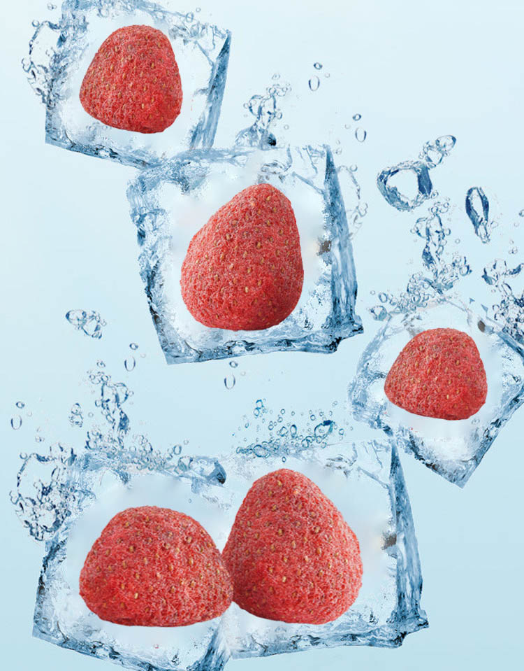 FD Freeze Drying Technology FD Freeze Drying Technology