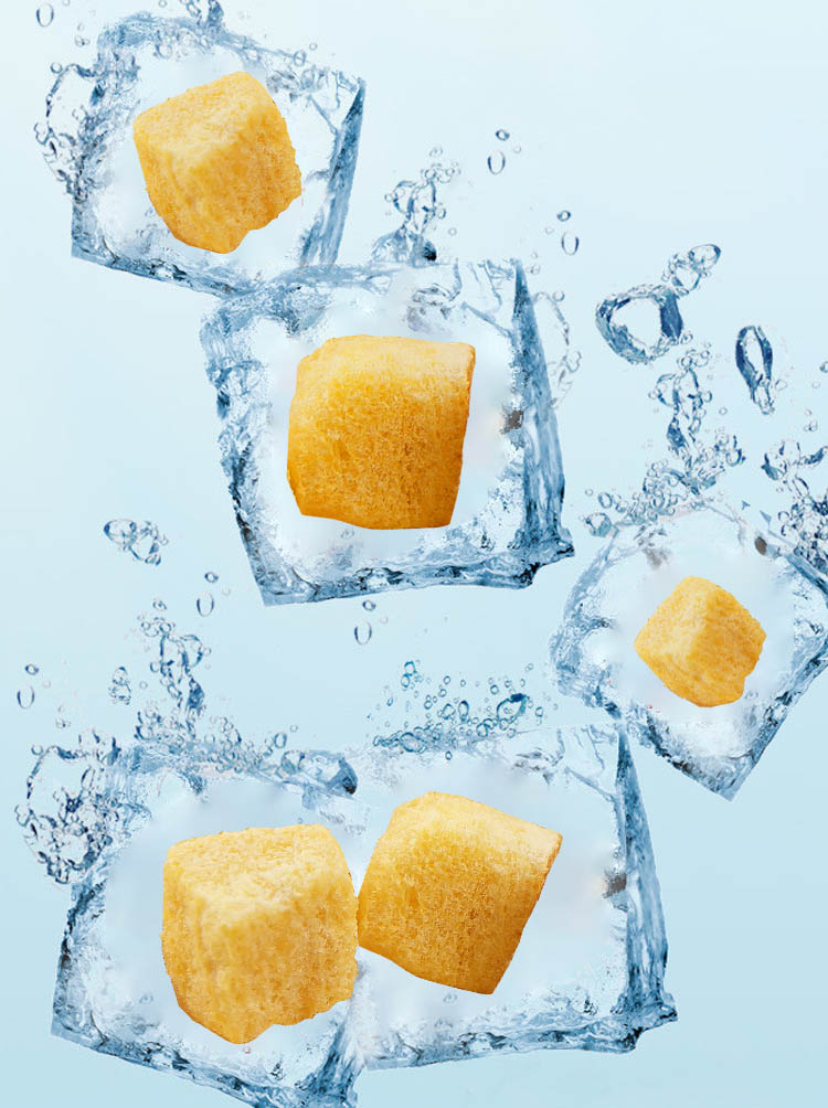 FD Freeze Drying Technology