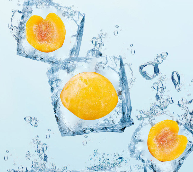 Freeze Drying Technology Freeze Drying Technology