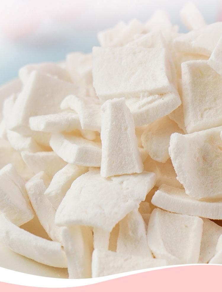 Coco liofilizado Freeze Dried Coconut