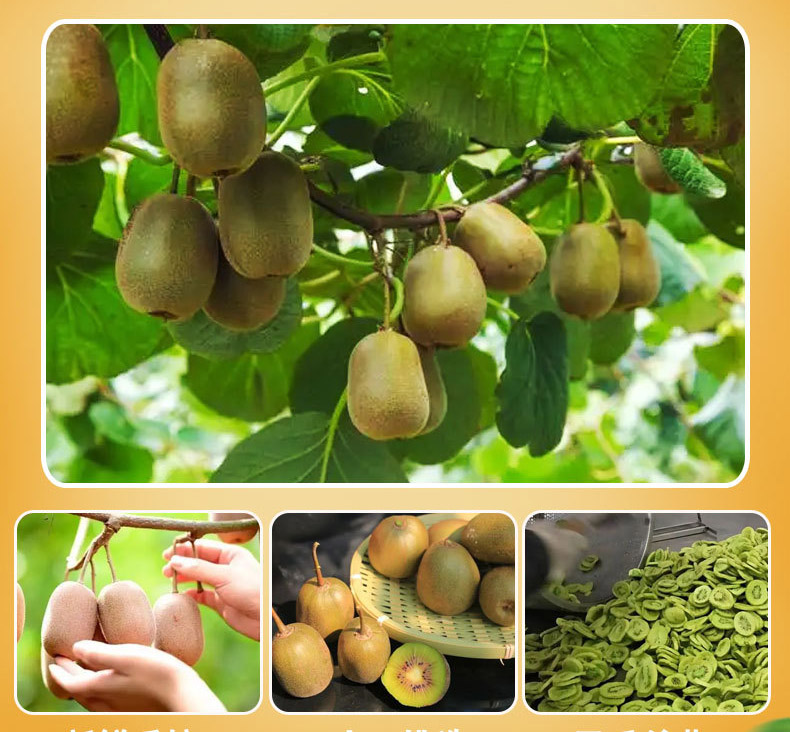 Good Taste and Raw Materials Good Taste and Raw Materials