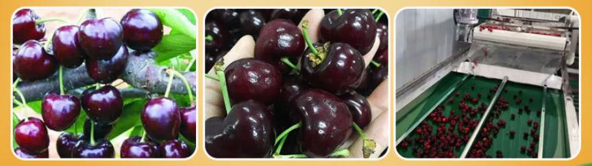 raw material raw material