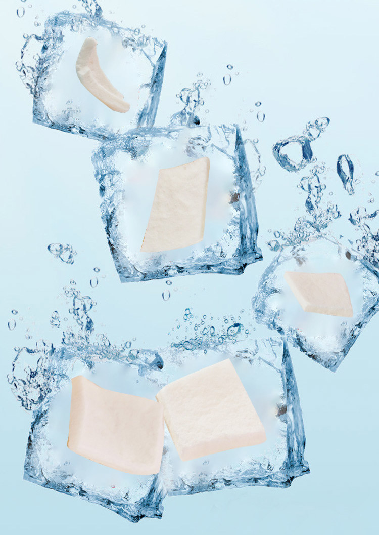 Coco liofilizado Freeze dried coconut