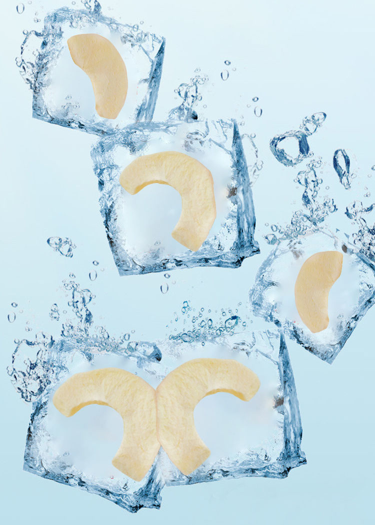 FD freeze drying technology FD freeze drying technology