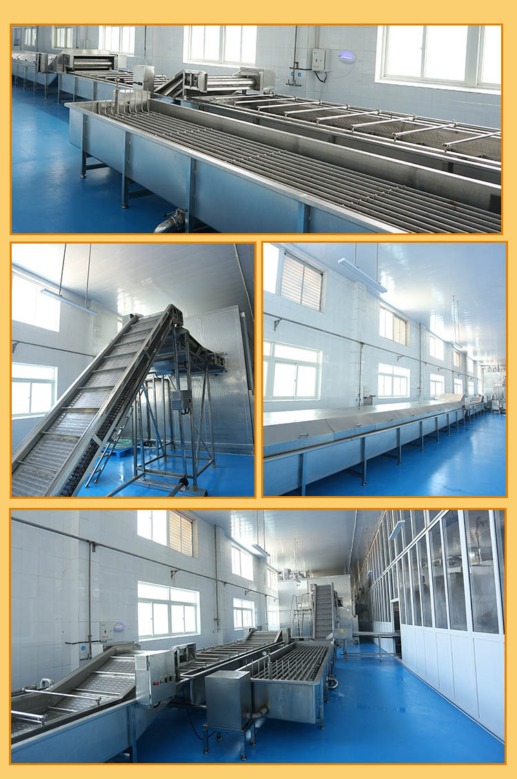 Tunnel type single quick freezing equipment