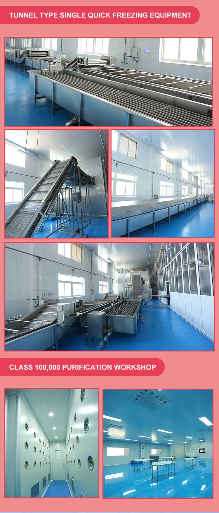 FD Compound aditivo em pó FD Compound additive powder