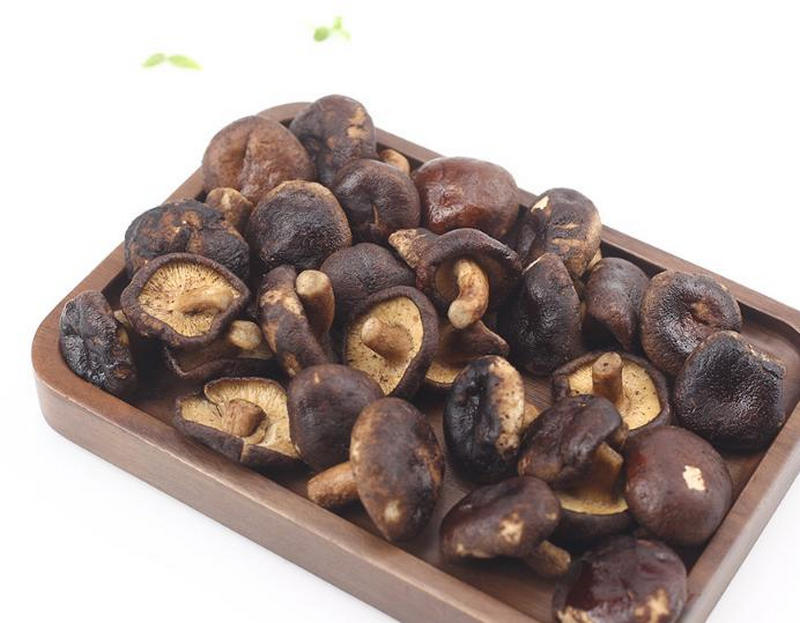 マッシュルームクリスプ Mushroom Crisp