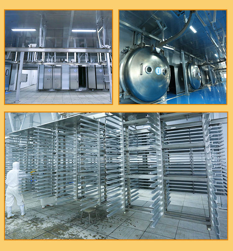 Complete set of vacuum freeze-drying equipment