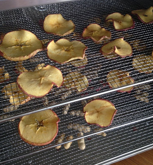 ドライフルーツ保存レシピ