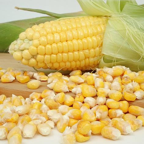 1681287973118668.jpg 4.5.jpg