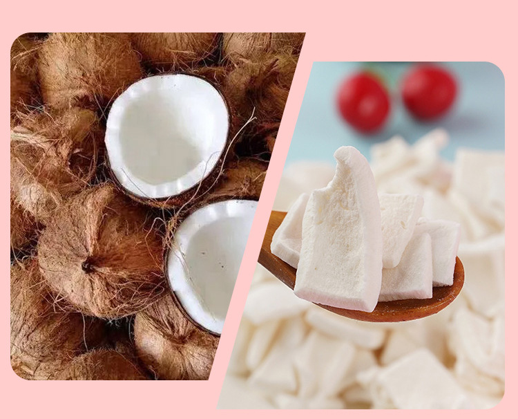 Rendimiento de secado por congelación: 10: 1 Freeze Drying Yield:10:1