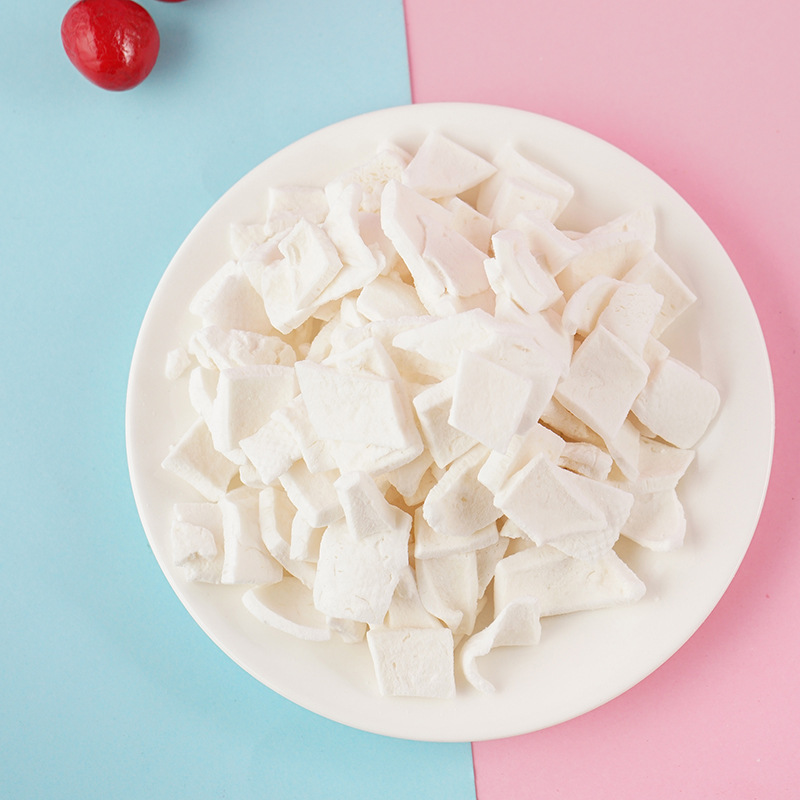 Coco liofilizado Freeze Dried Coconut