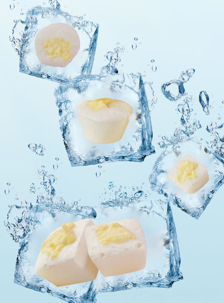 FD Freeze Drying Technology FD Freeze Drying Technology