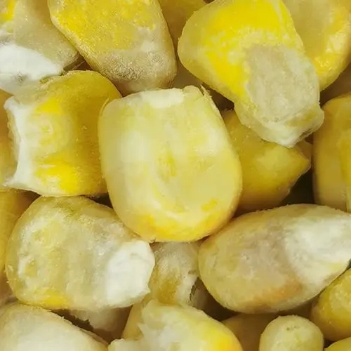 Mais dolce liofilizzato Freeze Dried Sweet Corn