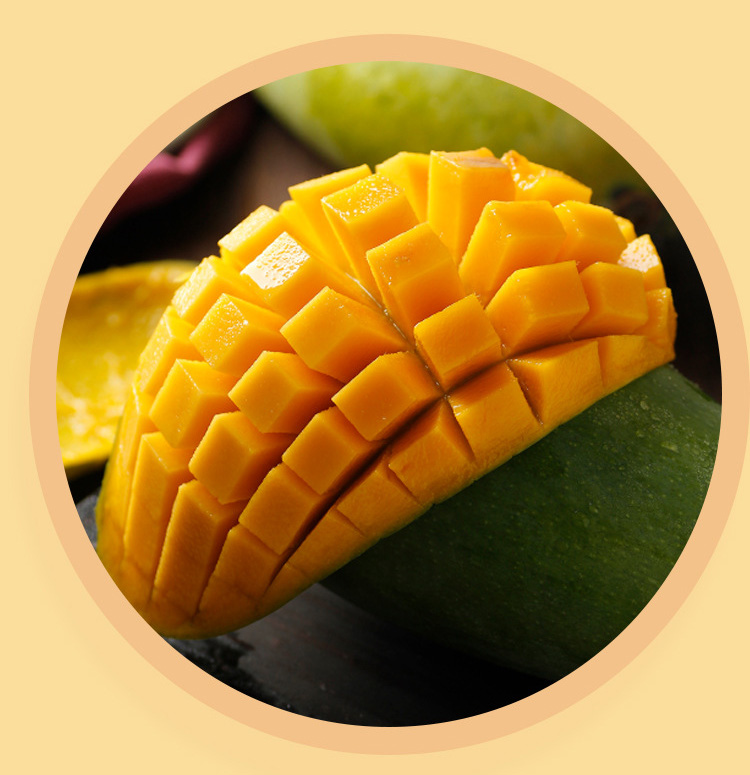 FD Freeze Drying Technology